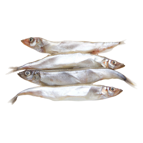 Мойва оптом от производителя Атлант-Фиш