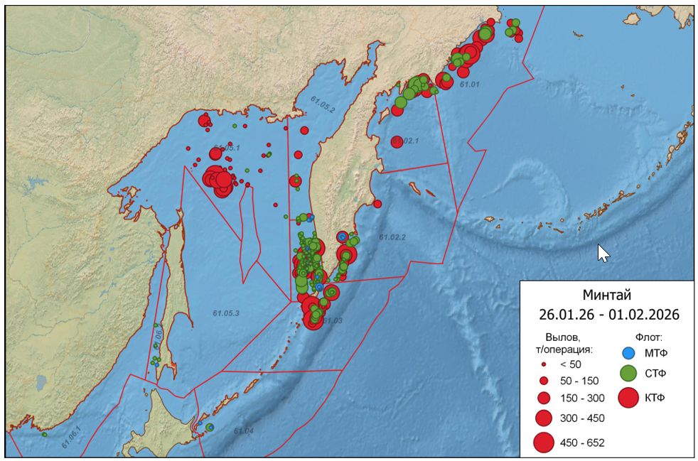 Распределение флота (МТФ – малотоннажный, СТФ – среднетоннажный, КТФ – крупнотоннажный флот) на промысле минтая в Дальневосточном рыбохозяйственном бассейне 26 января – 1 февраля 2026 г. Распределение флота (МТФ – малотоннажный, СТФ – среднетоннажный, КТФ – крупнотоннажный флот) на промысле минтая в Дальневосточном рыбохозяйственном бассейне 26 января – 1 февраля 2026 г.