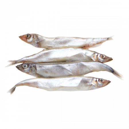 Мойва оптом от производителя Атлант-Фиш